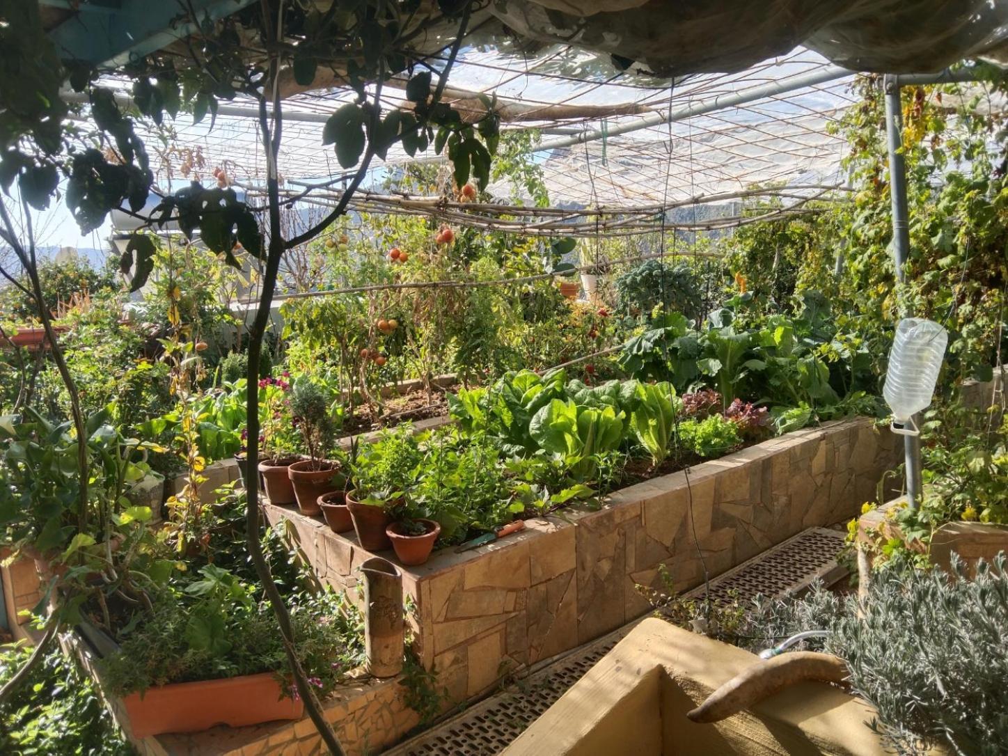 San Bartolomé Finca Cortez Apartment 4 מראה חיצוני תמונה