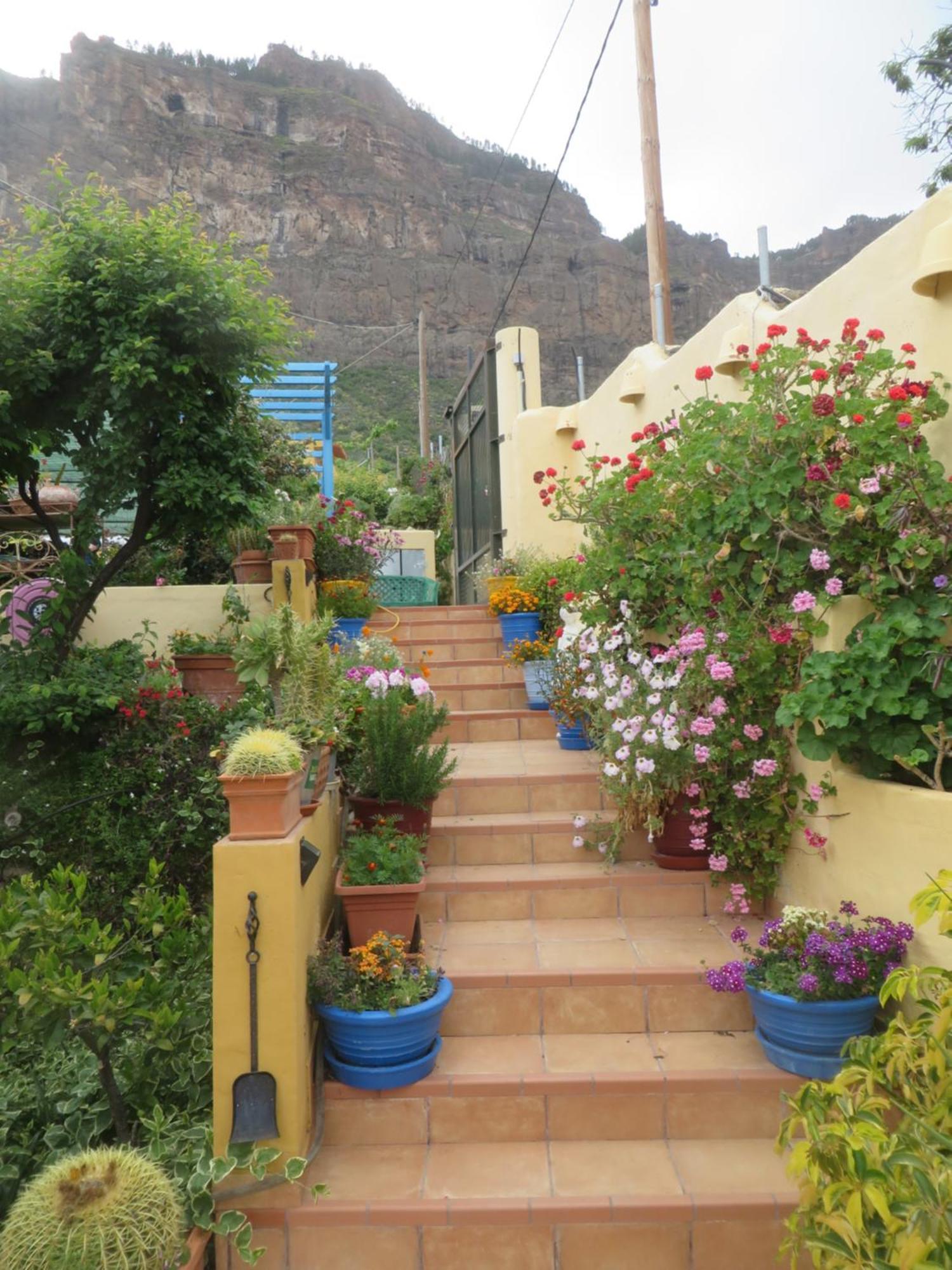 San Bartolomé Finca Cortez Apartment 4 מראה חיצוני תמונה